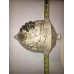 Vintage Rare 2 Piece Leaf Grapes Wall Pocket Vase 1965 Iridescent Cream Gold   173435911916